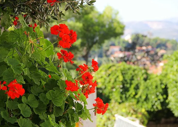 Fenix Two Bedroom Apartments Cavtat