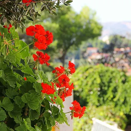 Fenix Two Bedroom Apartments Cavtat