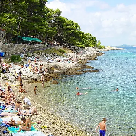 Fenix Two Bedroom Apartments Cavtat